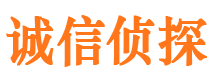 南市诚信私家侦探公司